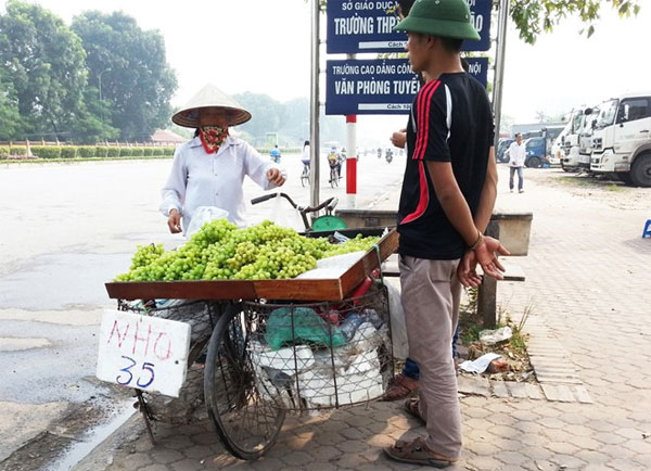 Picture 2 of The origin of cheap green grapes in Hanoi