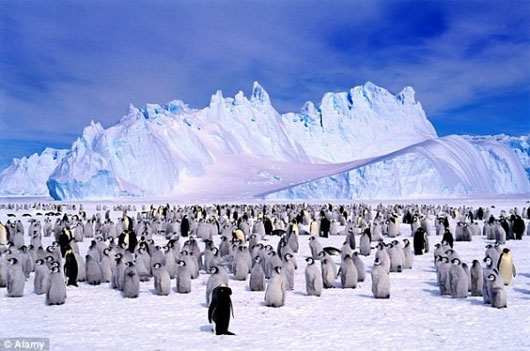 Picture 3 of The ozone hole can be healed in 2070