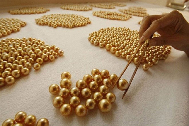 Picture 2 of The past is to display the process of producing rare and precious gold pearls