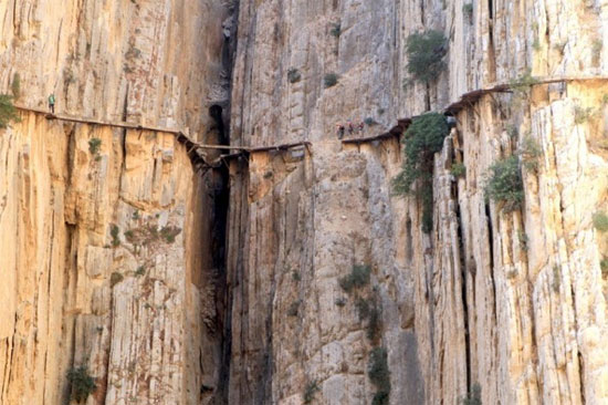 Picture 1 of The path of