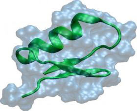 Picture 1 of The peptide chain in scorpion venom can cure excretory diseases