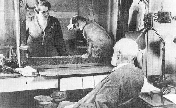Picture 2 of The person who finds the law of reflection is conditional