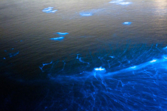 Picture 1 of The phenomenon of peculiarities on the sea has occurred for hundreds of years but science cannot decipher!