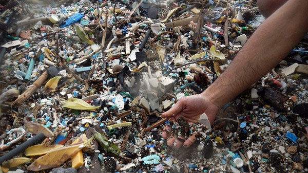Picture 5 of The phenomenon of 'plastic hybrid stone' - The consequence of pollution