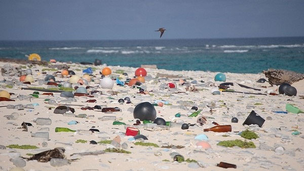 Picture 6 of The phenomenon of 'plastic hybrid stone' - The consequence of pollution