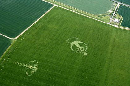 Picture 10 of The phoenix circle appears in the field