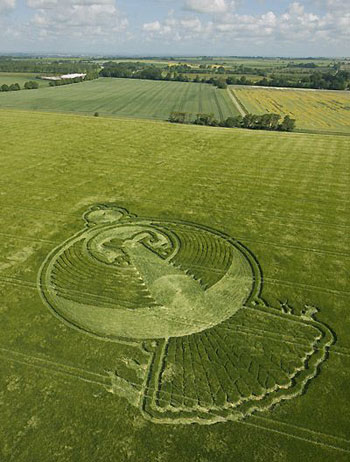 Picture 5 of The phoenix circle appears in the field