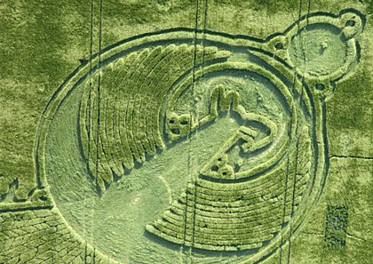 Picture 6 of The phoenix circle appears in the field