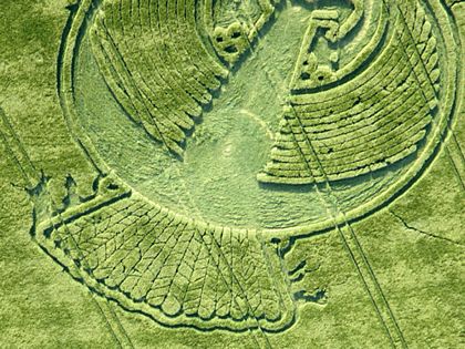 Picture 7 of The phoenix circle appears in the field