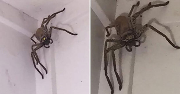 Picture 1 of The photo makes many people tremble, but it is extremely happy news for science