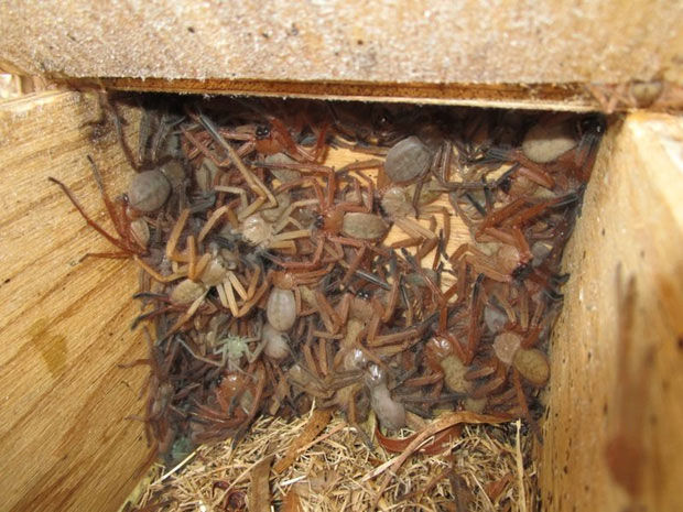 Picture 2 of The photo makes many people tremble, but it is extremely happy news for science