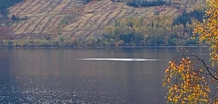Picture 1 of The photo shows monsters frolicking under Loch Ness Lake?