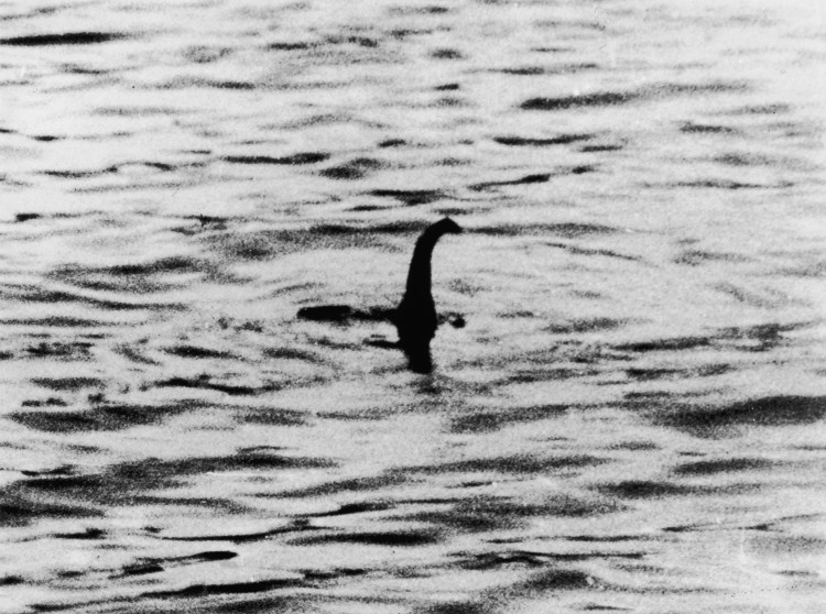 Picture 3 of The photo shows monsters frolicking under Loch Ness Lake?