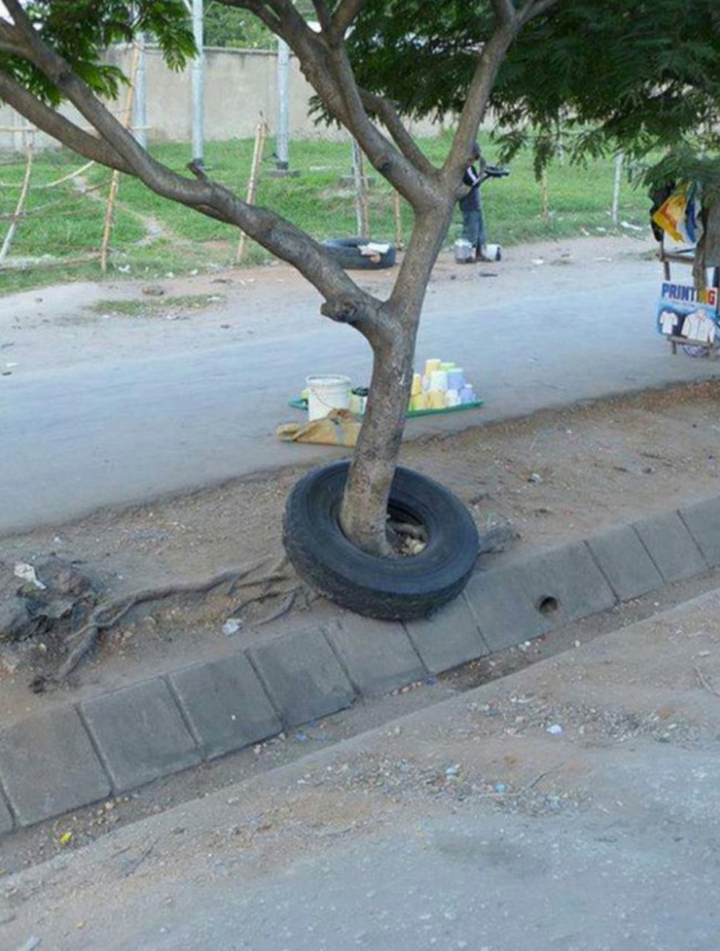 Picture 11 of The photos imagined photoshop but 100% real
