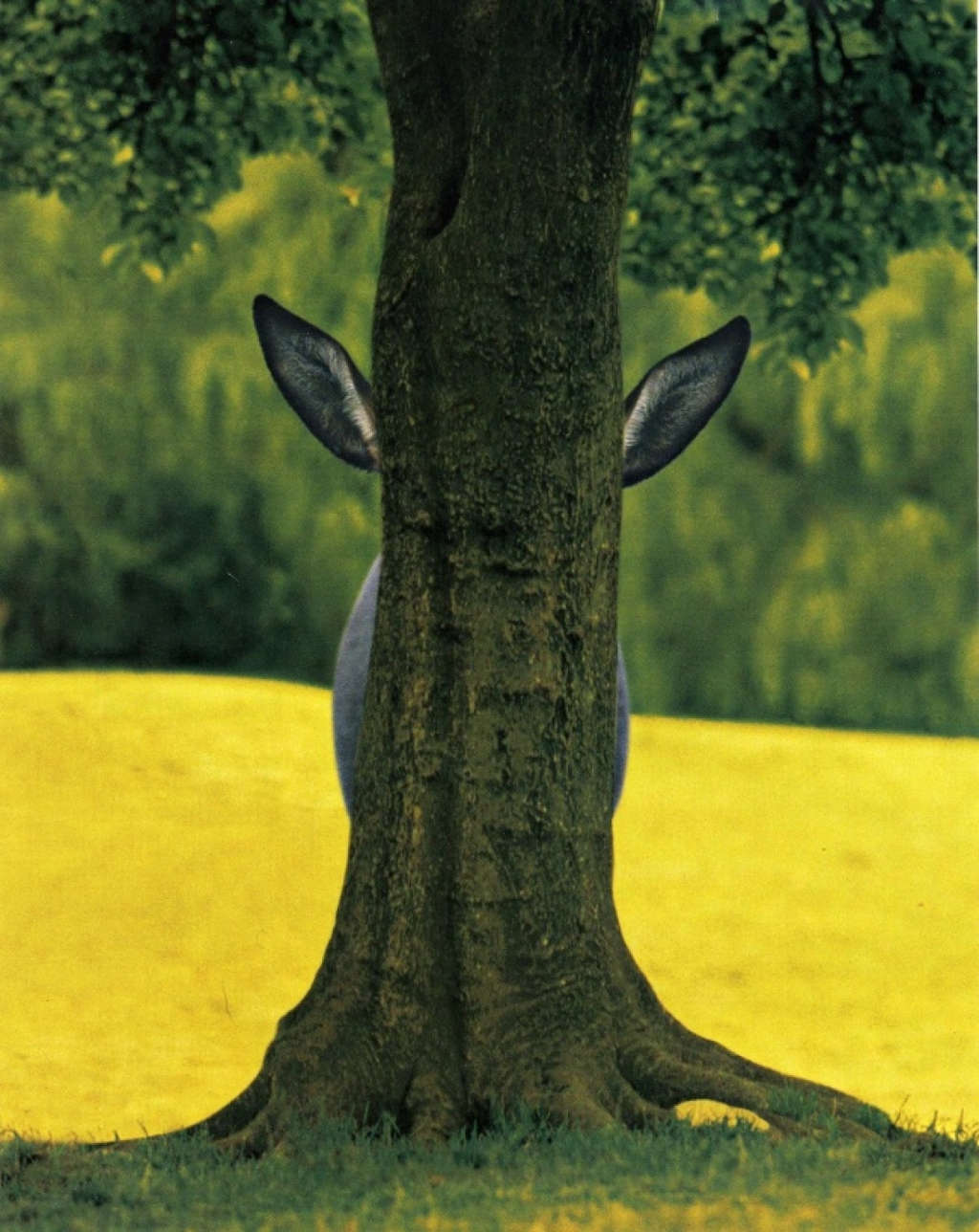 Picture 13 of The photos surprise you because you can't believe it's real