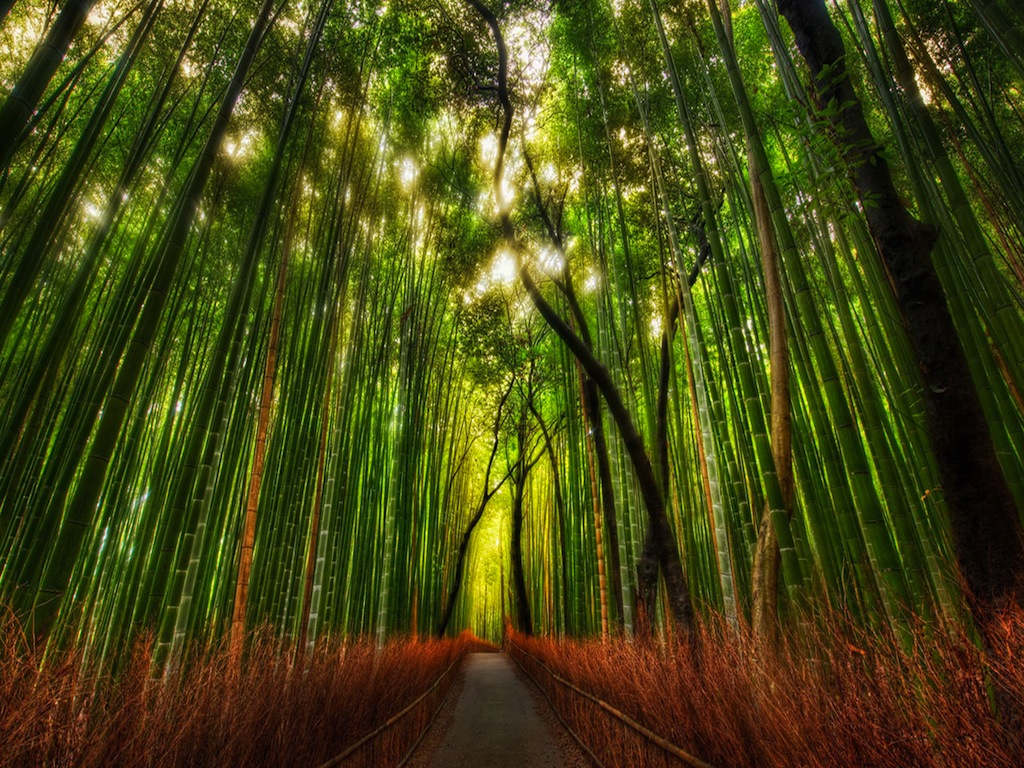 Picture 16 of The photos surprise you because you can't believe it's real