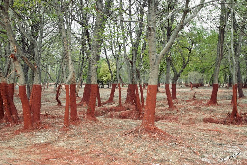 Picture 17 of The photos surprise you because you can't believe it's real