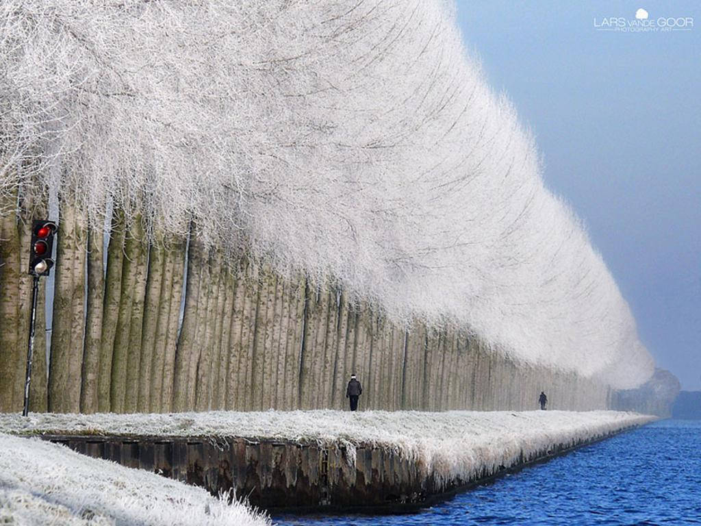 Picture 21 of The photos surprise you because you can't believe it's real