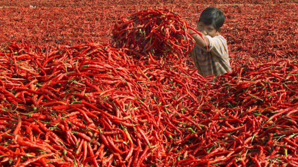 Picture 22 of The photos surprise you because you can't believe it's real