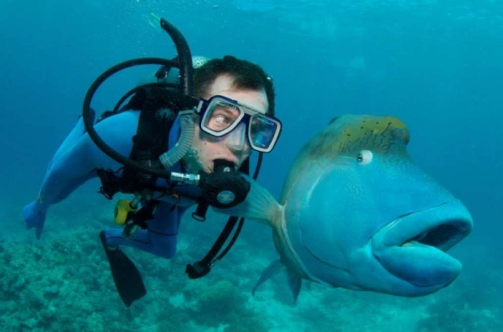 Picture 23 of The photos surprise you because you can't believe it's real