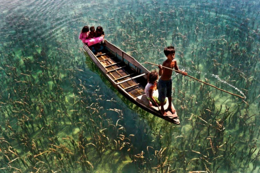 Picture 26 of The photos surprise you because you can't believe it's real