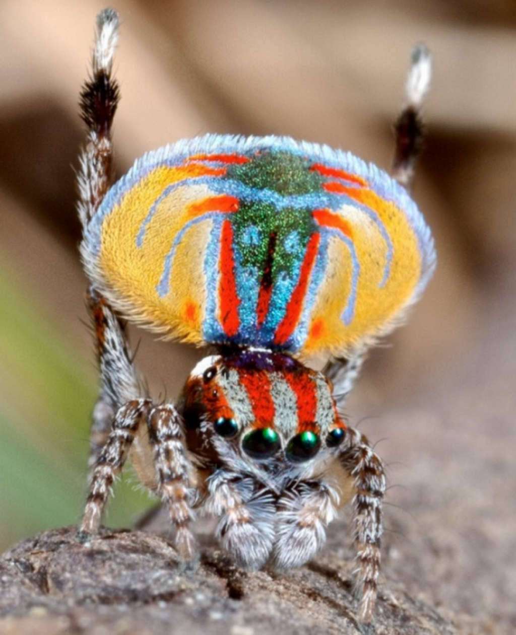 Picture 27 of The photos surprise you because you can't believe it's real