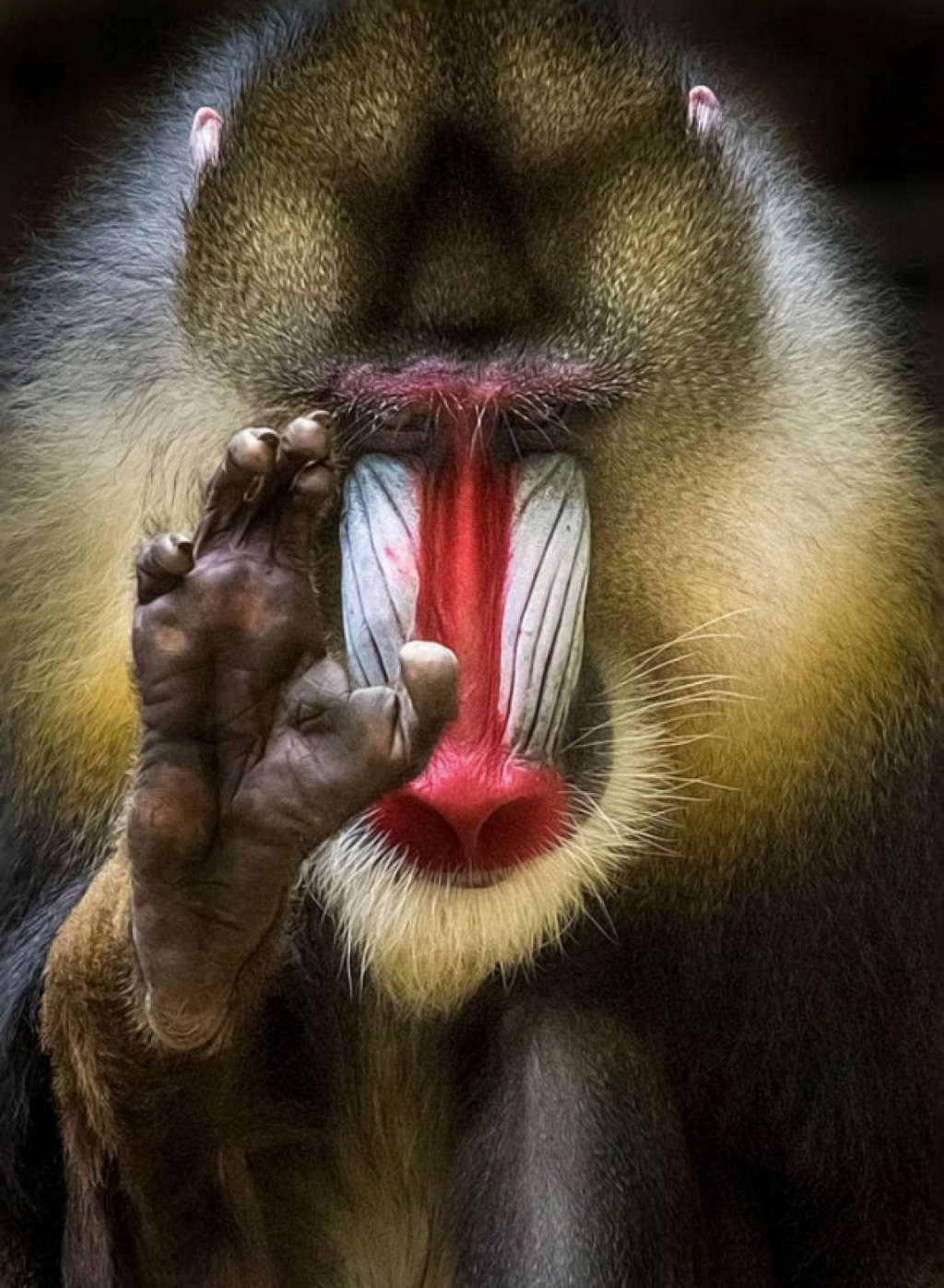 Picture 5 of The photos surprise you because you can't believe it's real