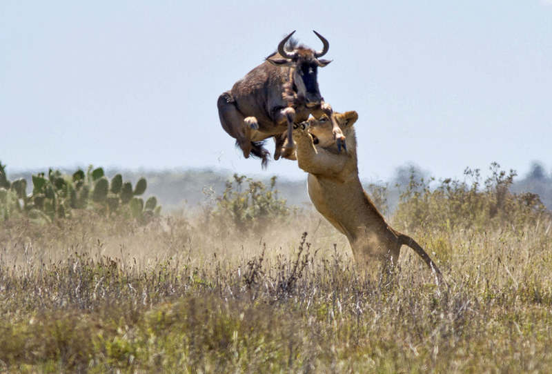 Picture 6 of The photos surprise you because you can't believe it's real