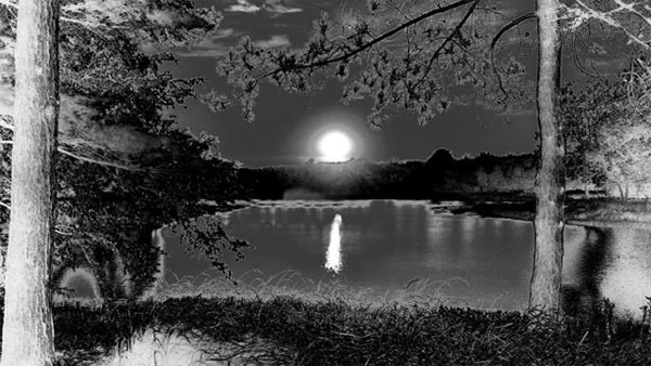 Picture 13 of The photos turned upside down to define light and darkness