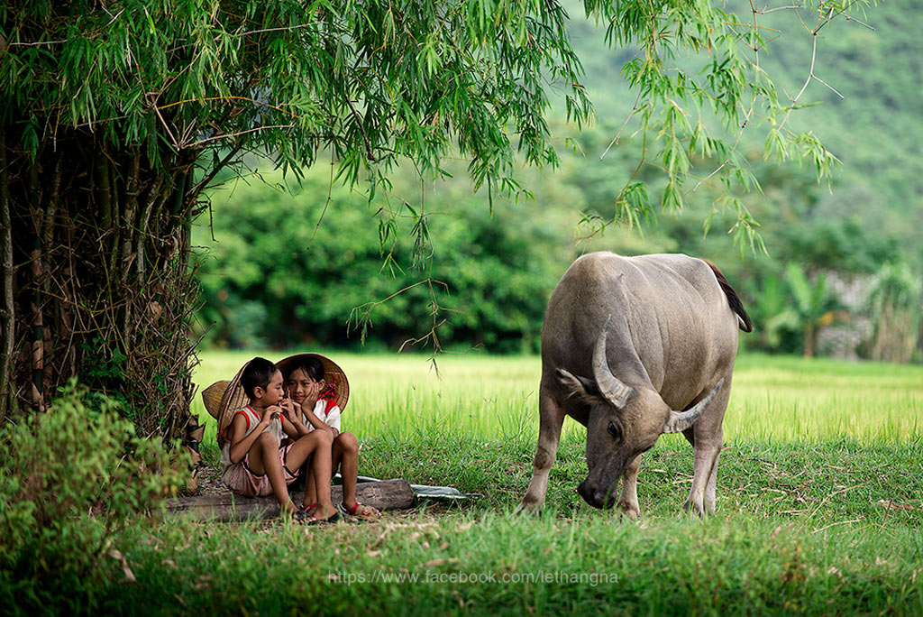 Picture 9 of The picture of innocent and clear childhood