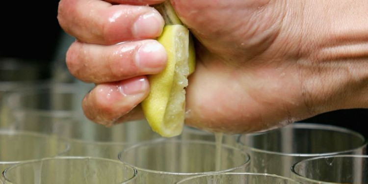 Picture 3 of The pieces of lemon in the shop, how dirty can they be?