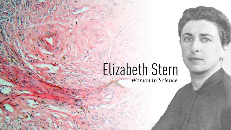 Picture 2 of The pioneer woman in the field of science is forgotten by history