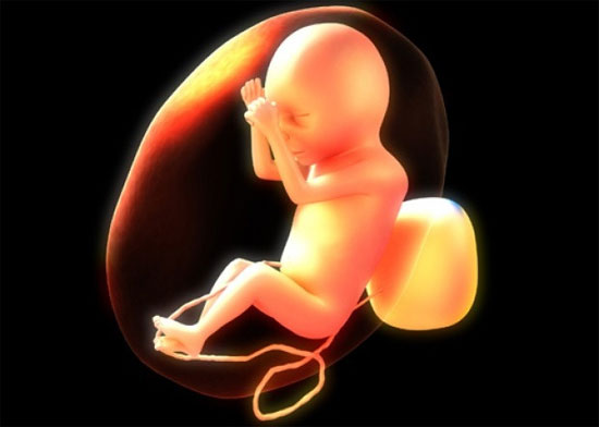Picture 1 of The placenta test helps detect autism risk