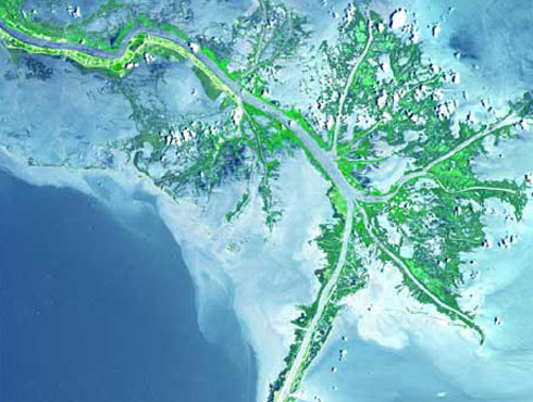 Picture 2 of The plains in the world are under threat