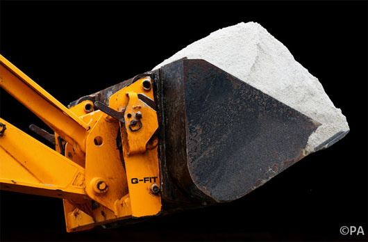 Picture 1 of The plant reacts with salt like human reaction to pain