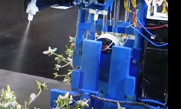 Picture 3 of The poor invented the pesticide spraying machine from scrap