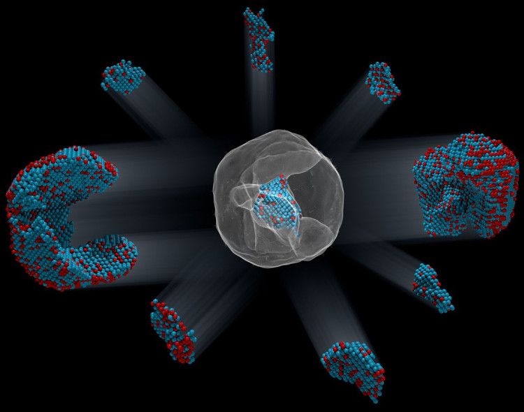 Picture 1 of The position structure of 23,000 atoms was first identified