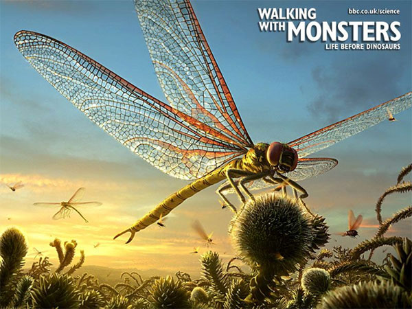 Picture 3 of The prehistoric insects that make you