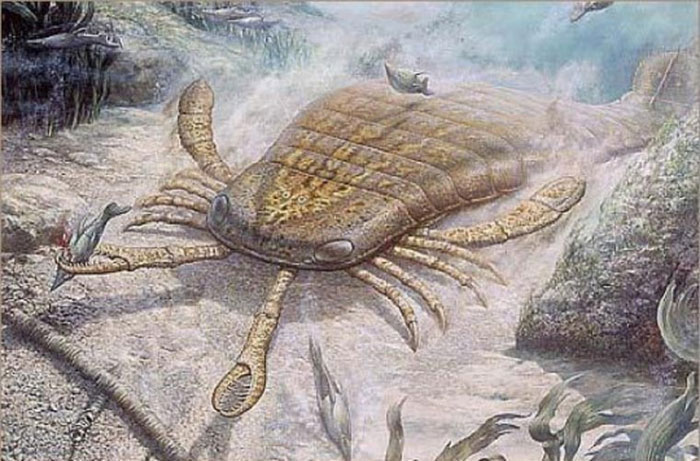 Picture 5 of The prehistoric insects that make you