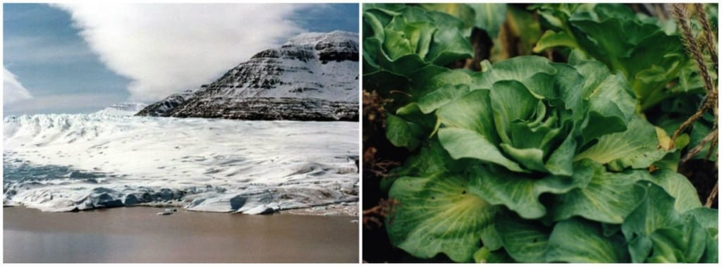 Picture 12 of The pristine beauty of 10 places people have not yet touched