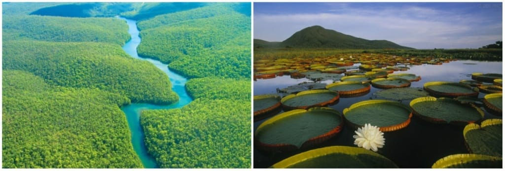 Picture 6 of The pristine beauty of 10 places people have not yet touched