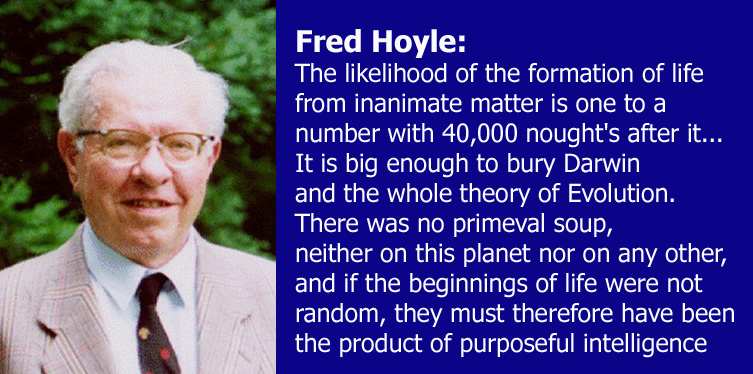 Picture 4 of The probability of spontaneous life forming by evolution is 'small to utopian'