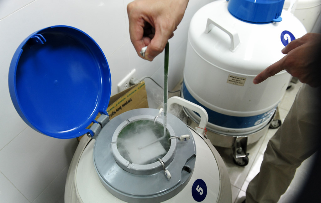 Picture 10 of The process of creating babies in test tubes