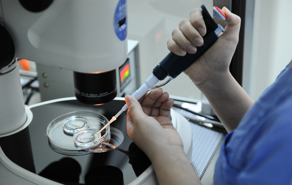 Picture 3 of The process of creating babies in test tubes