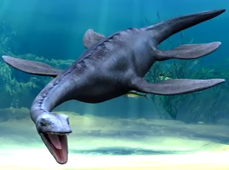 Picture 10 of The process of formation and evolution of life on Earth