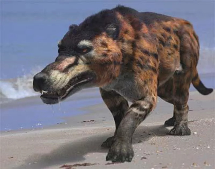 Picture 13 of The process of formation and evolution of life on Earth