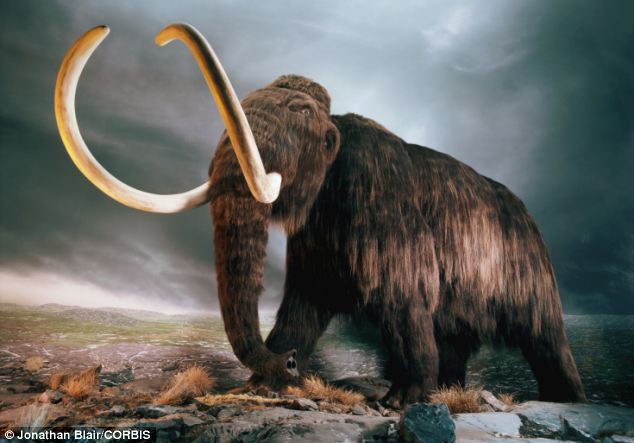 Picture 15 of The process of formation and evolution of life on Earth