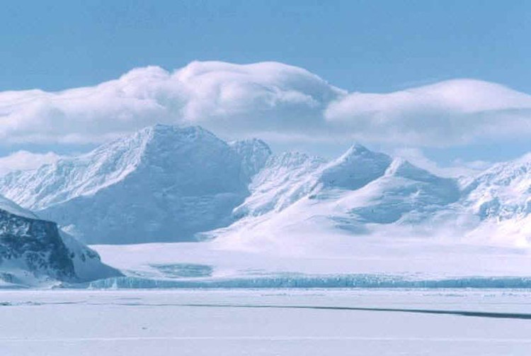 Picture 3 of The process of formation and evolution of life on Earth