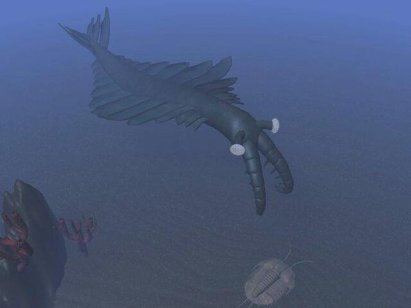 Picture 4 of The process of formation and evolution of life on Earth