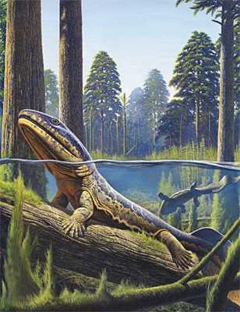 Picture 5 of The process of formation and evolution of life on Earth
